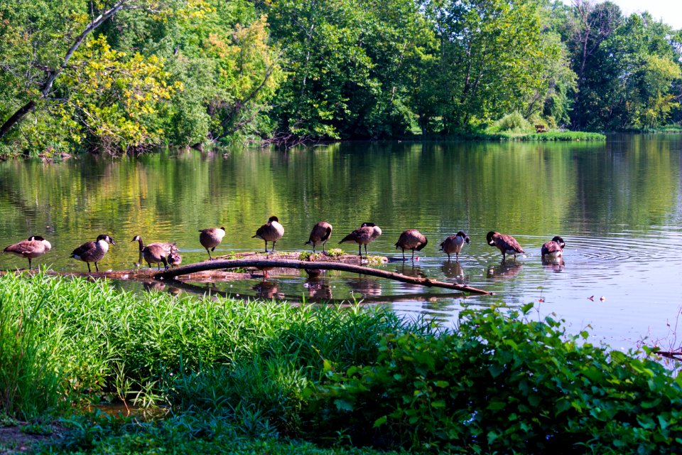 three creeks metro park 7-31-19-3