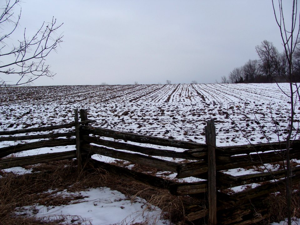 Lines in the snow