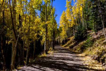 Inner Basin Trail No. 29