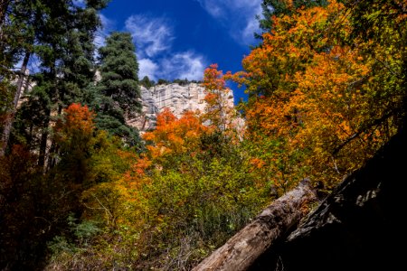 West Fork of Oak Creek Canyon No. 108