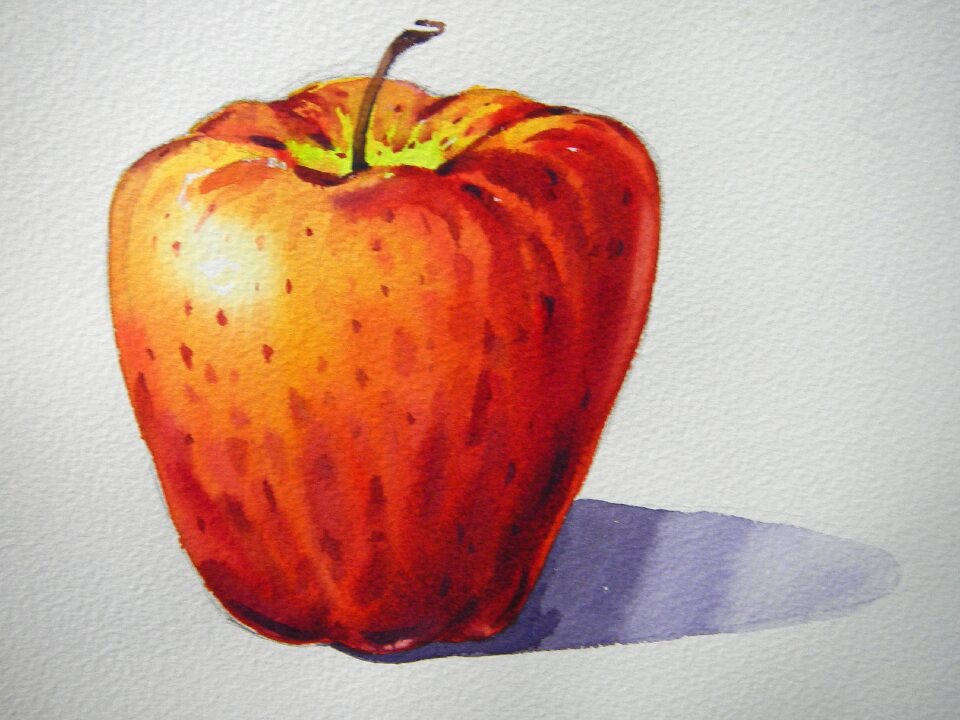 Watercolor illustration fruit