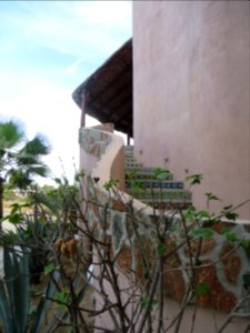 Scenes from last night in Baja (Serendipity Hotel  24) (1)
