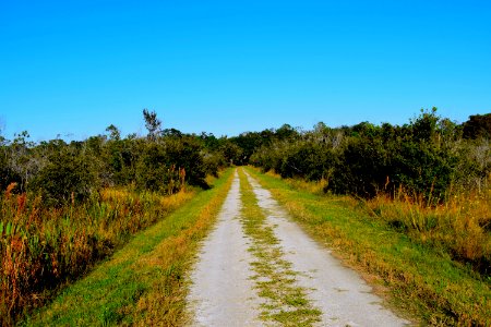 Split Oak Trail