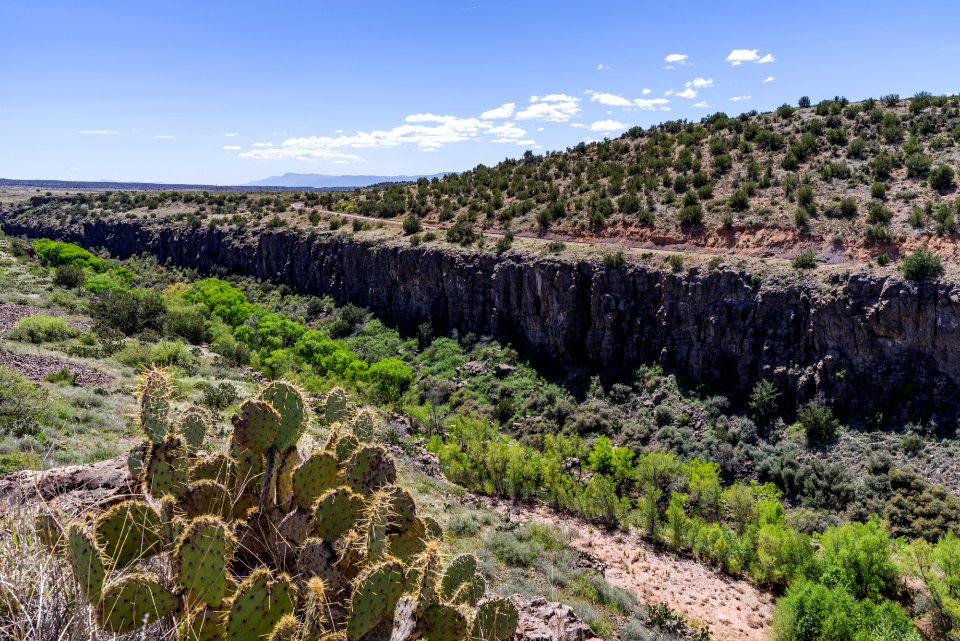 Sycamore Canyon Road: FR 9507