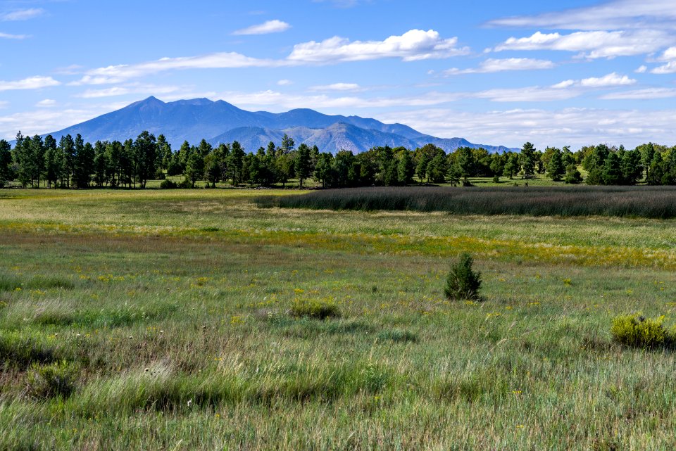 Arizona Trail: Anderson Mesa AZT-30