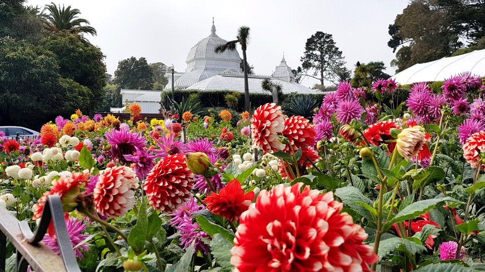 San Francisco - Golden Gate Park