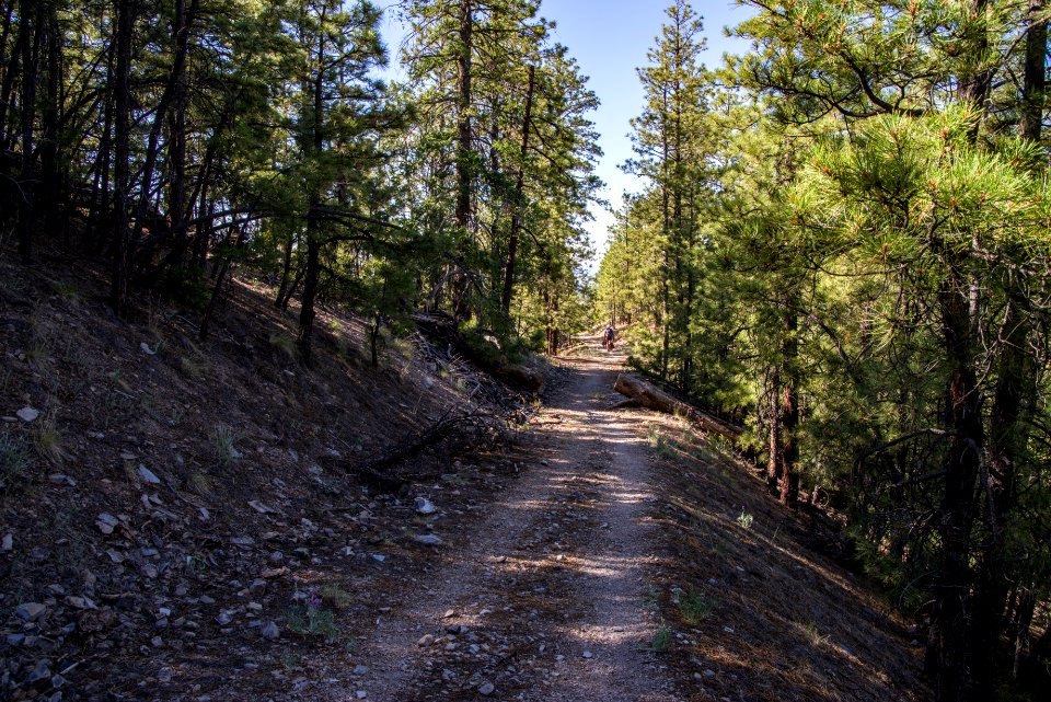 Slate Mountain Trail