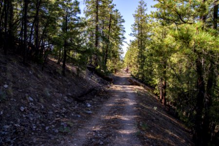 Slate Mountain Trail