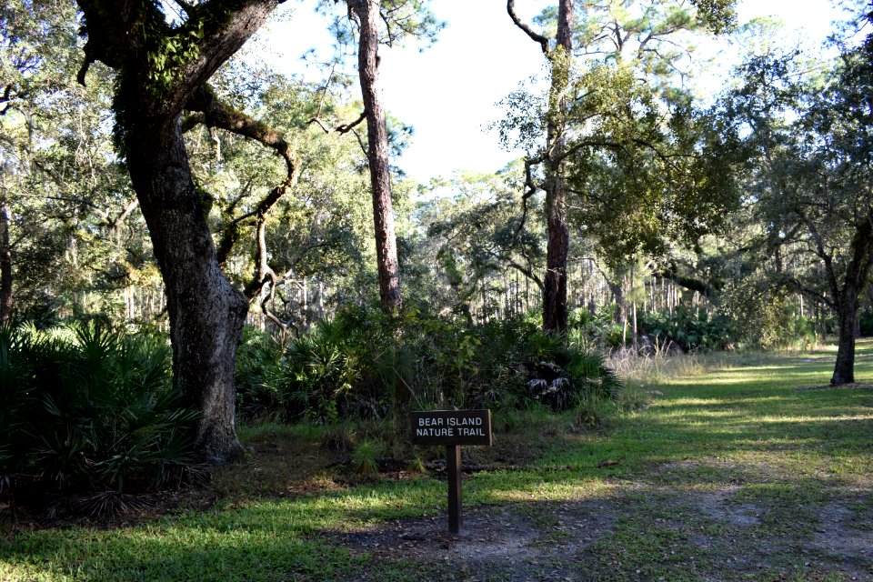 Bear Island Trail