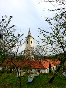 Belgrade 2019