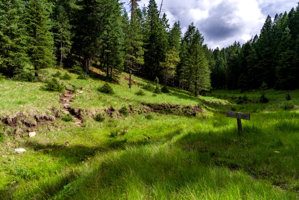 Barbershop Trail
