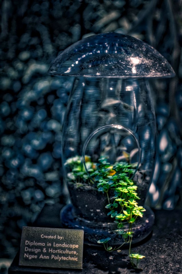 Life in a Jar
