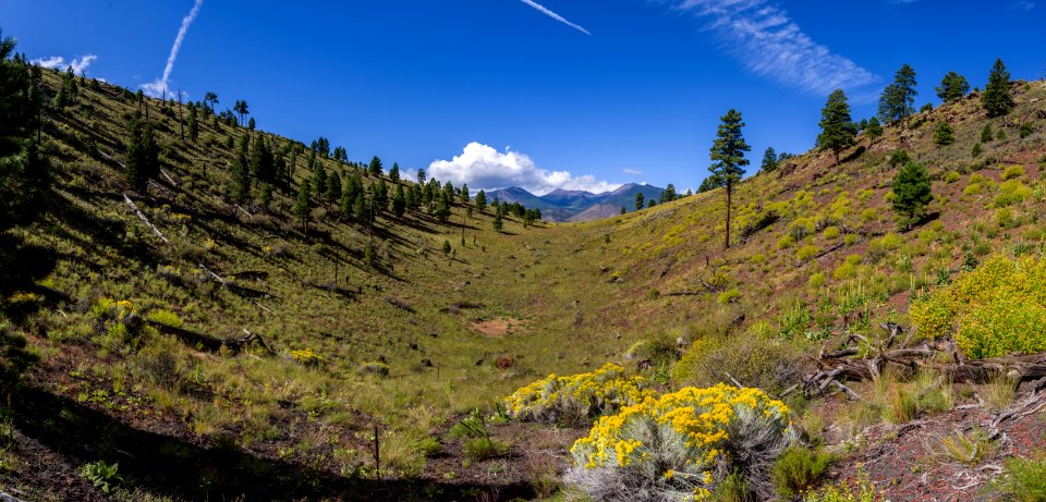 San Francisco Peaks