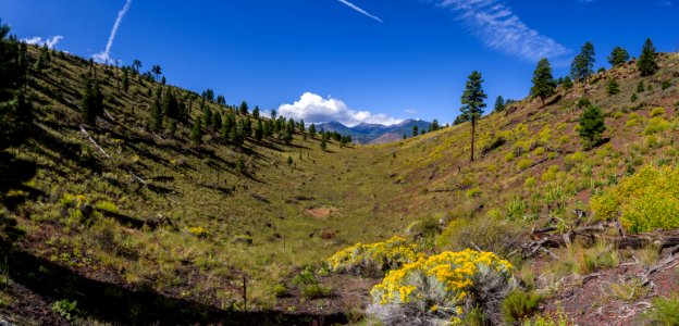 San Francisco Peaks