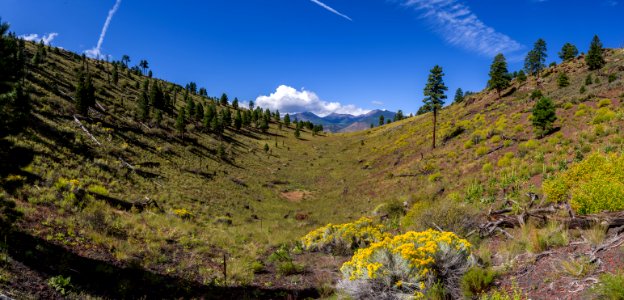 San Francisco Peaks photo