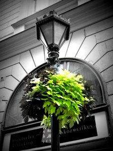 Green lamp budapest