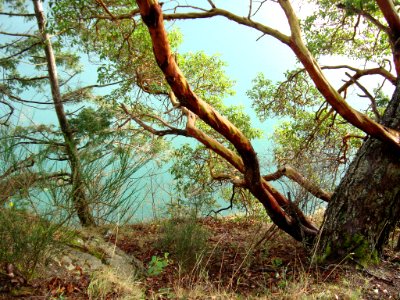 Turquoise and Rust