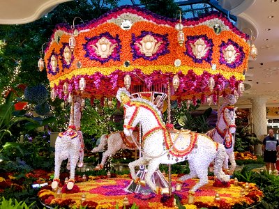 Las Vegas - Wynn