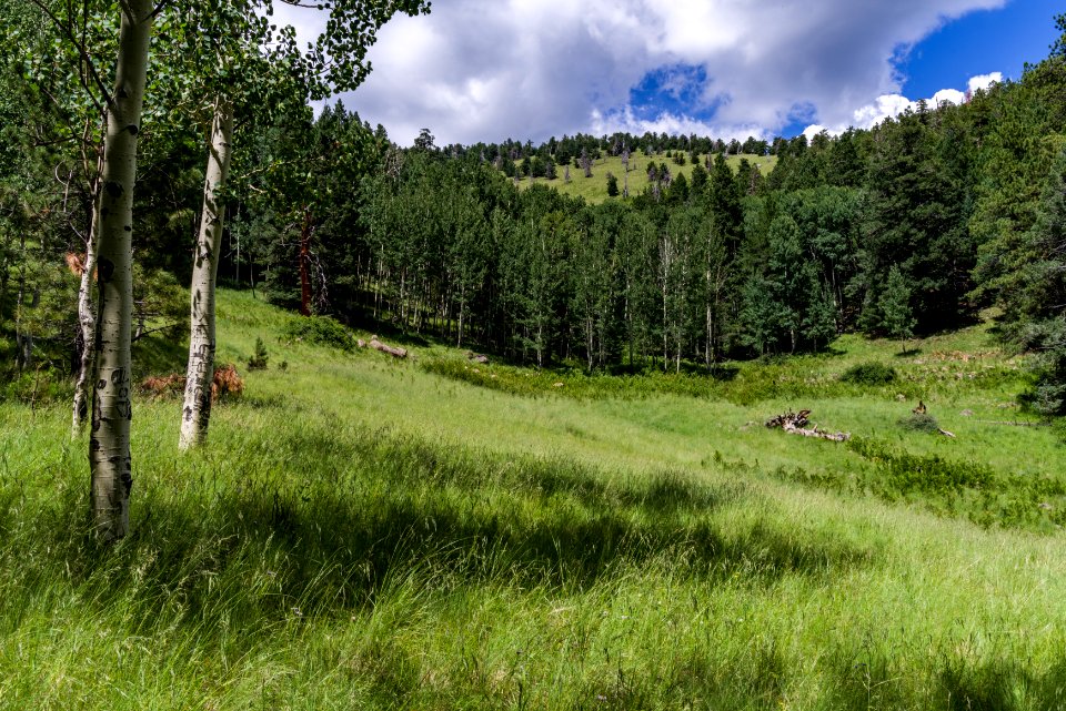 Weatherford Trail