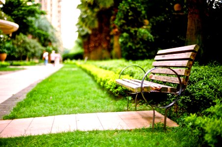 Bench photo