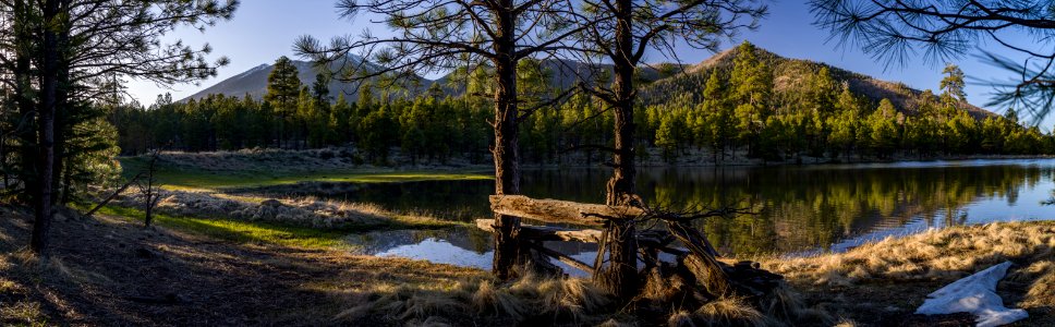 Springtime at Schultz Tank