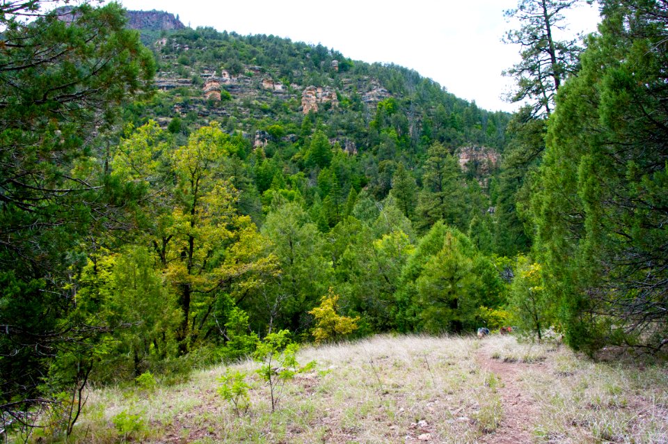 Little L.O. Trail No. 6