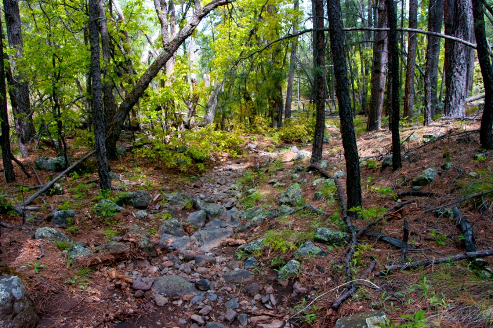Kelsey Trail No. 3