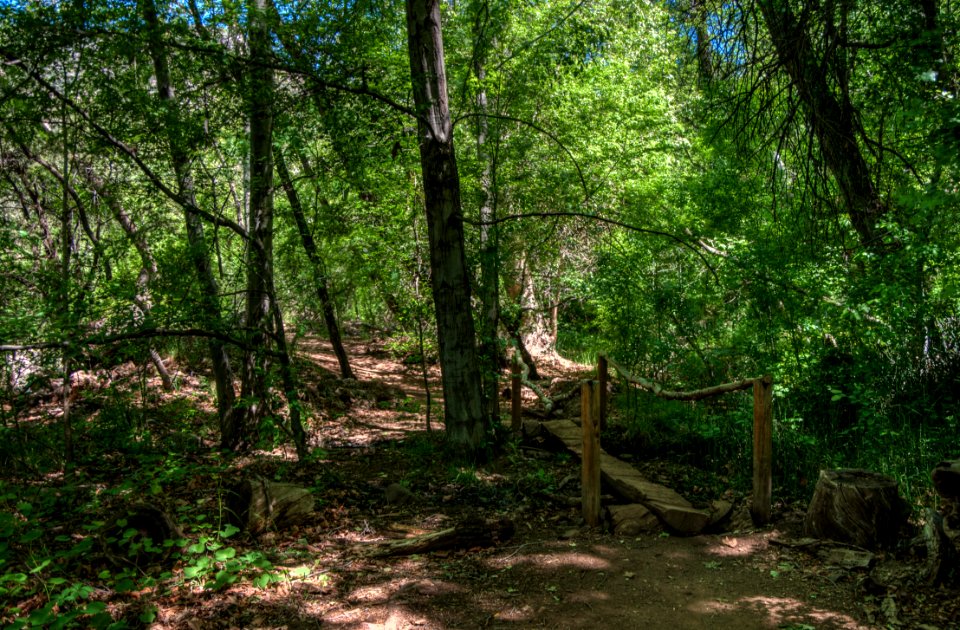 Waterfall Trail on Fossil Creek