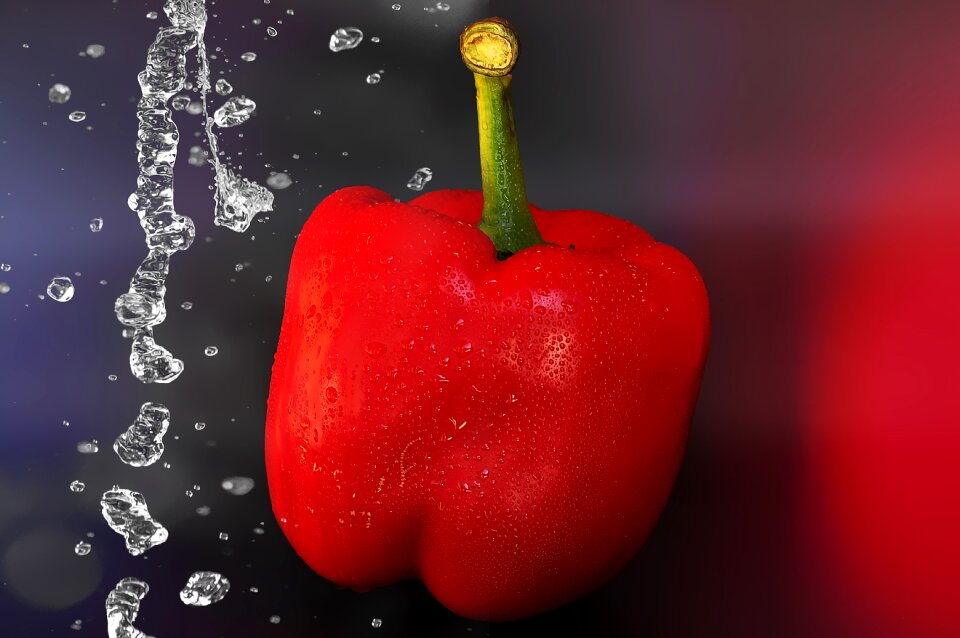 Vegetables food rich in vitamins