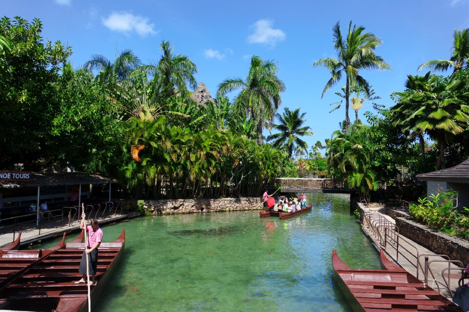 Palm tree park boat
