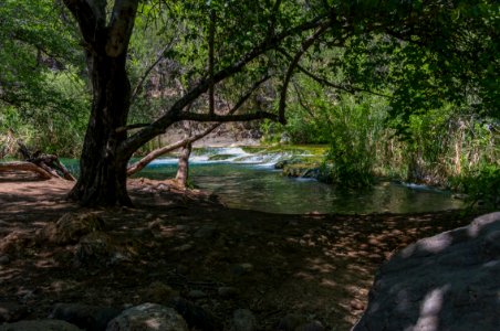 Waterfall Trail on Fossil Creek