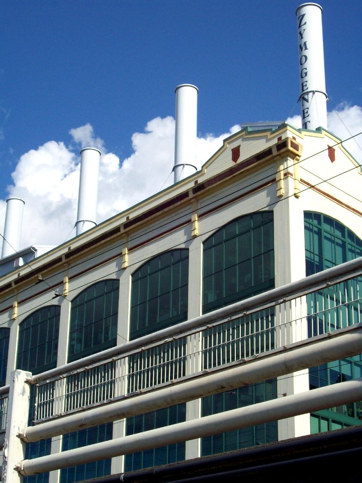 Industry Embodied