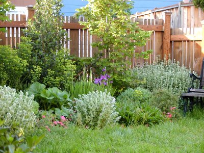 Garden In May