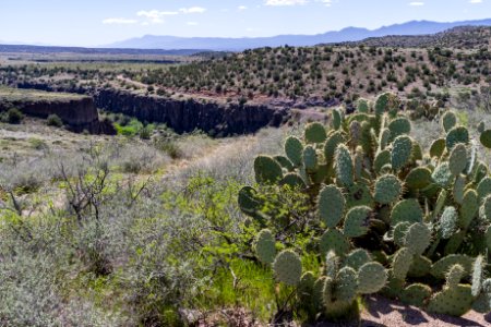 Sycamore Canyon Road: FR 9508