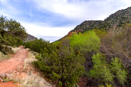Bell Trail
