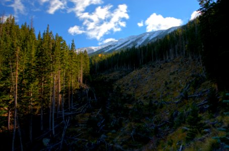 Abineau Trail