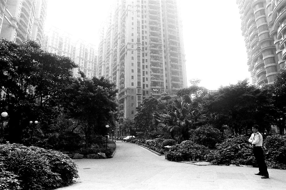 2011 :ILFORD PAN 100 Nikon FM2 [76]