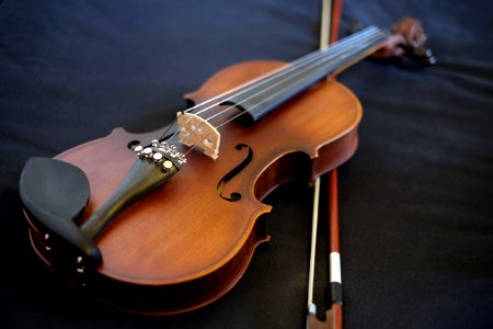 Violin