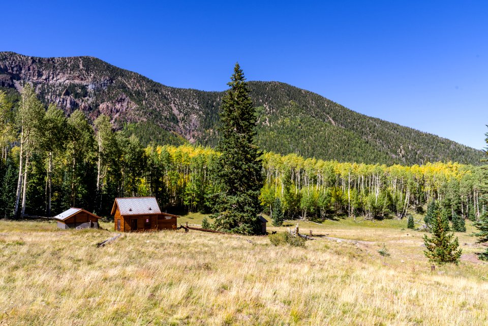 Inner Basin Trail