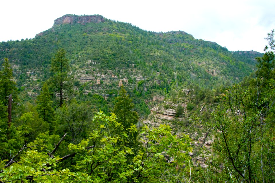 Little L.O. Trail No. 6