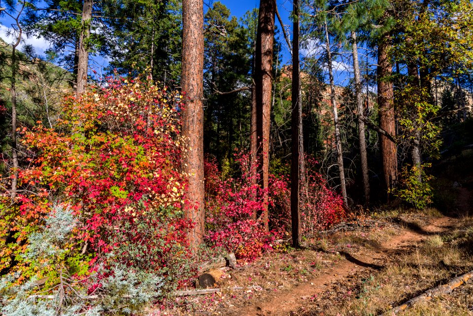 Vultee Arch Trail (November 1, 2017)