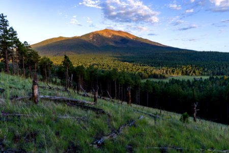 Humphreys Peak, San Francisco Peaks photo