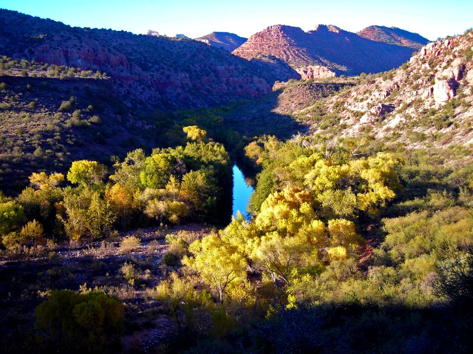 Sycamore Wilderness