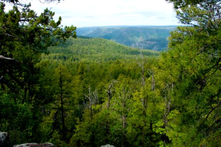 Kelsey Trail No. 3