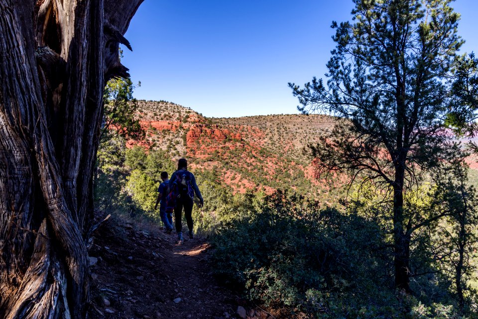 Turkey Creek Trail