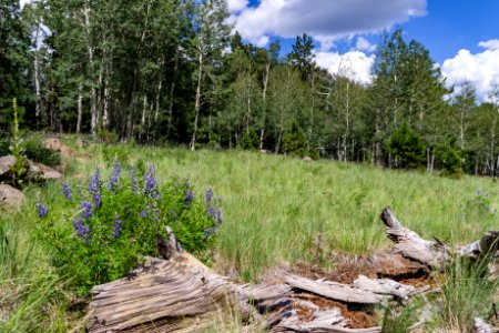 Weatherford Trail