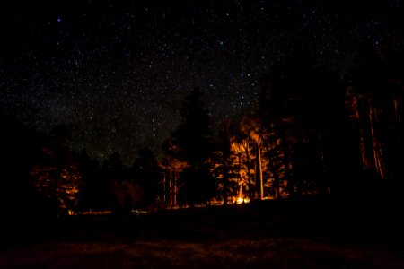 Lockett Meadow photo