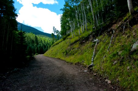 Inner Basin Trail photo