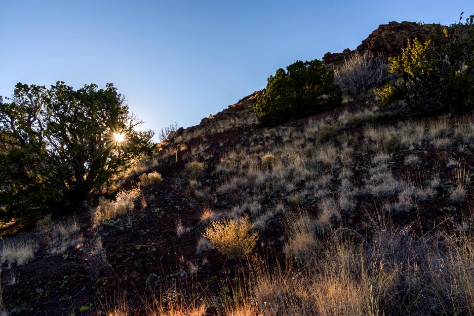 Strawberry Crater Trail