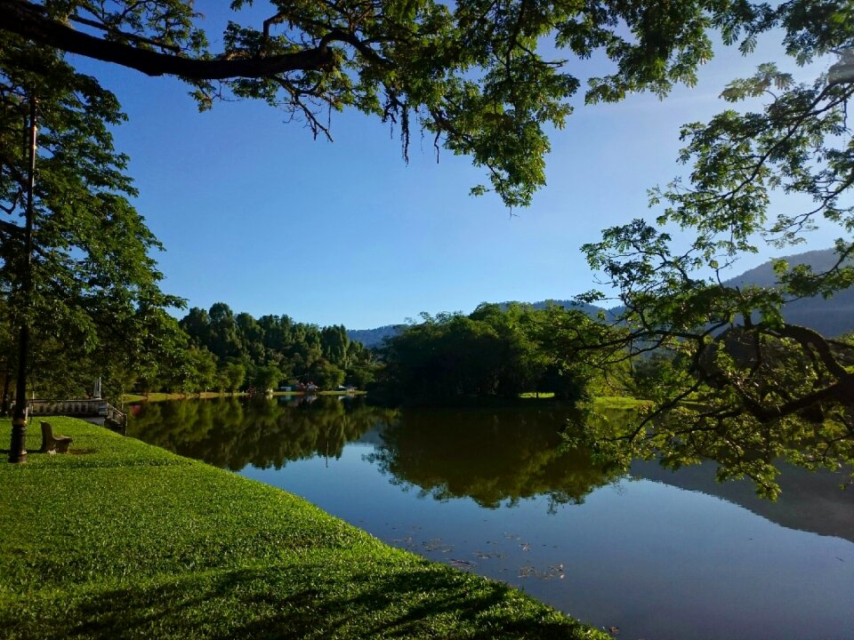 Nature water landscape